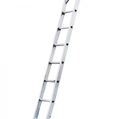 The leaning ladder